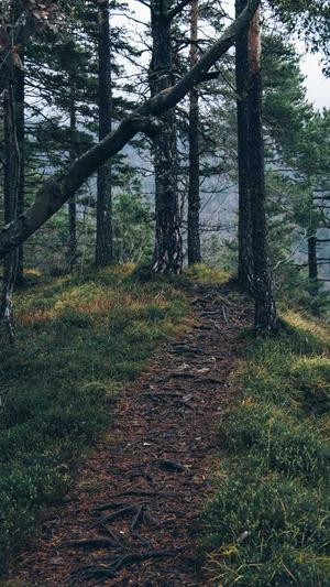 装饰公司网站建设截图2