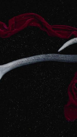 站长工具seo推广站长工具查询截图1