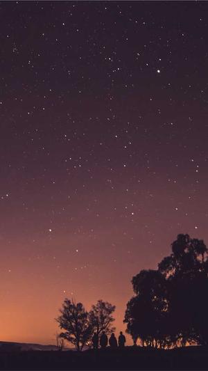 厦门网站建设公司截图1