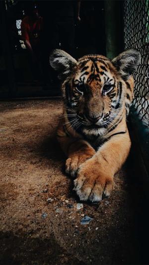 泛目录程序 破解版截图3