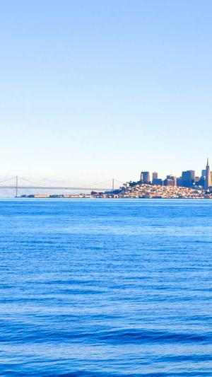 重庆seo点击工具截图1