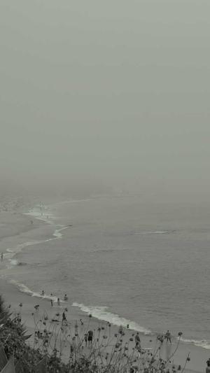 seo流量排名工具截图1