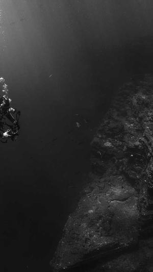 小旋风蜘蛛池修复版截图3