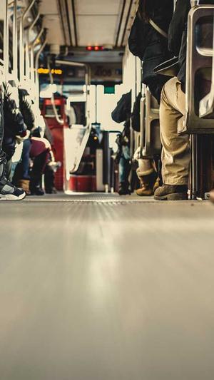 如何搭建自己的蜘蛛池截图2