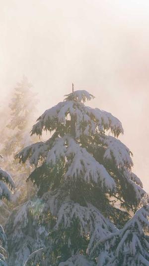 蜘蛛池知乎截图1