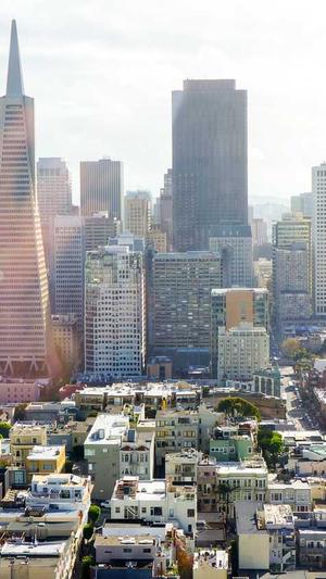 企业网站 建设截图1