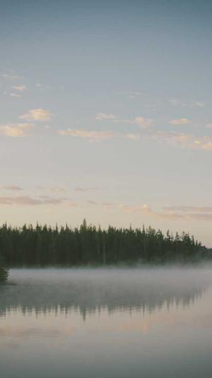 蜘蛛池怎么快速引截图4