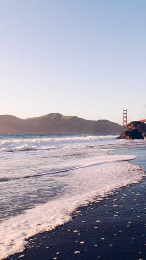 2022年蜘蛛池还有用吗截图1