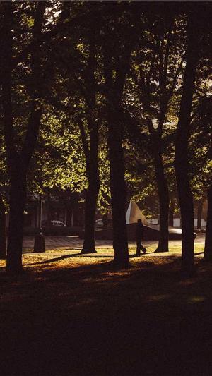 烟台网站建设公司截图4