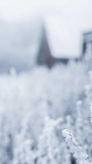 蜘蛛池租用网站违法吗截图1