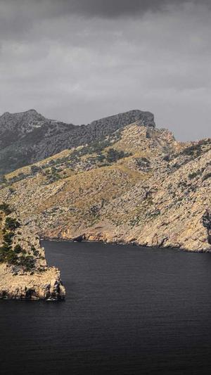 seo优化排名工具哪家好截图4