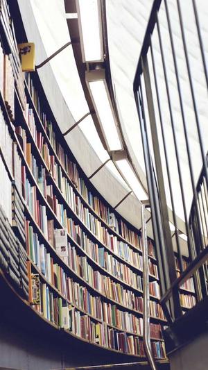 SEO优化工具软件截图1