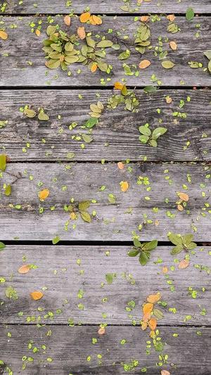 seo排名工具有哪些截图3