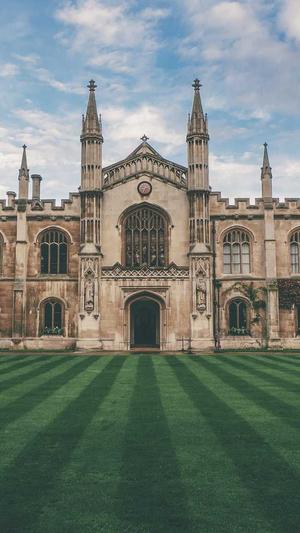 蜘蛛池域名注册截图4