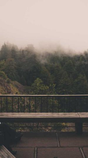 广西seo优化截图4