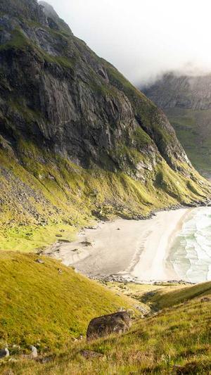 seo排名工具seo排名截图2