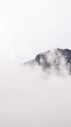 青岛seo服务截图1