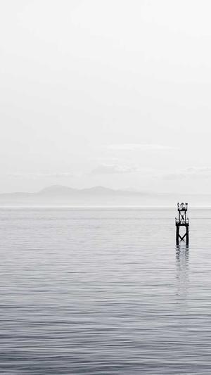 逆冬蜘蛛池完整版截图1