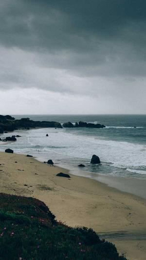 seo诊断分析工具截图4