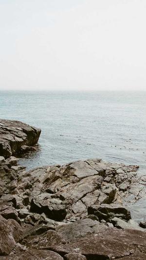 seo外链查询工具截图2