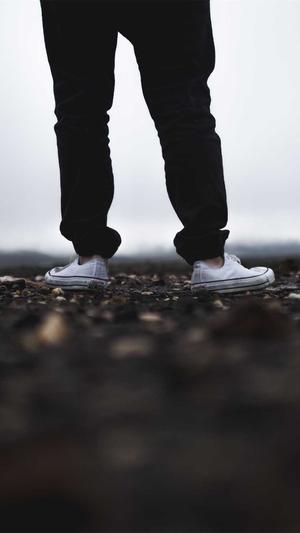 seo站长工具排名查询截图3