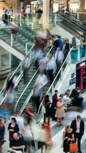 泛目录引流截图3