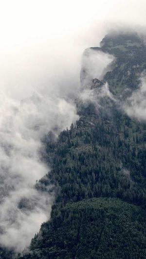 小旋风蜘蛛池视频截图1