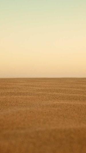 网站建设收费截图5