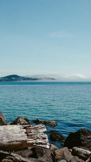 个人网站建设截图3