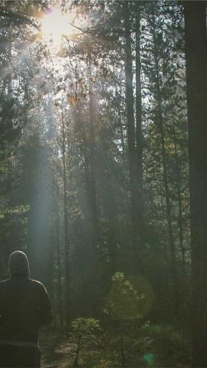 搜索seo优化平台截图5